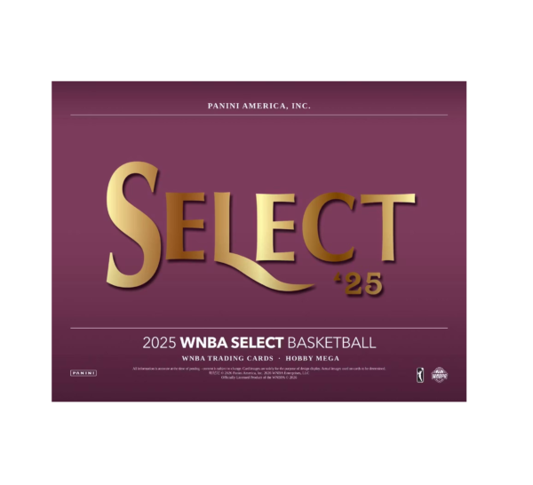2025 Panini Select WNBA Basketball Hobby Mega 20-Box Case (Pink Ice Prizm's)