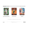 2025 Panini Select WNBA Basketball Hobby Mega 20-Box Case (Pink Ice Prizm's)